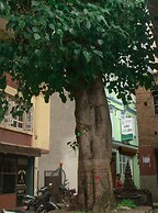 Thamel Eco Home