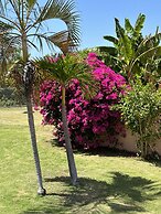 Remarkable 1-bed Apartment in Montego Bay