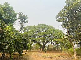 Salithyna villa