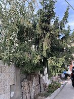 Edem Bishkek