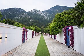 Collesium Garden