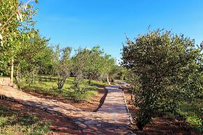 Orngatuny Mara King Camp