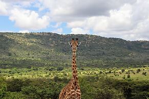 Orngatuny Mara King Camp