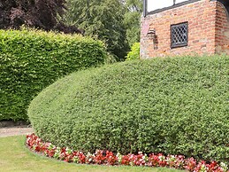 Wren Cottage