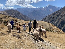 Alpaca Lodge