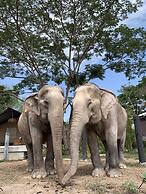 Elephant View Camp