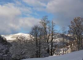Studio in Saalbach Near Ski Slopes
