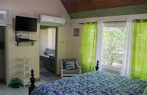 Seven Palms Villa
