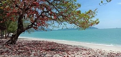 Kamila Teluk Senangin