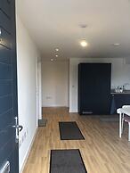 Modern House