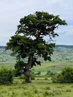 Viscri 9