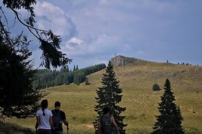 Mountain-Rest Pension