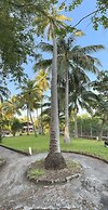 Paradise Bay