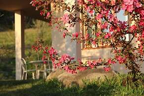 LE SETTE VIE HOLIDAY HOMES