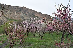 Areni Lodge