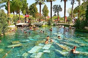 dolphin hotel