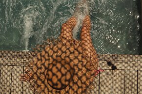 Makani Luxury Cartagena