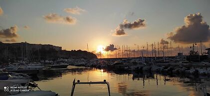 The Queen Tropea