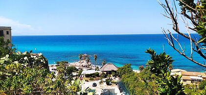 The Queen Tropea