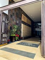 Oasis 12