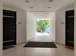 Oasis 12