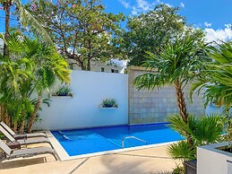 Oasis 12