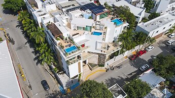Oasis 12