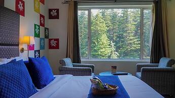 Olive County Manali