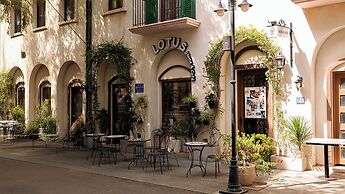 Lotus Home Cafe