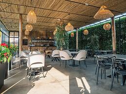 Atardeceres del cafe