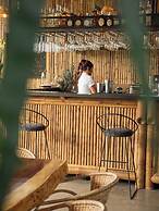 Atardeceres del cafe