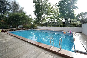 CIESTA TREEO