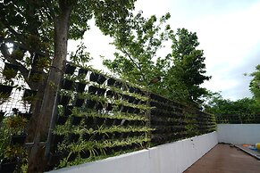 CIESTA TREEO