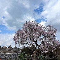 Masseria LoJazzo