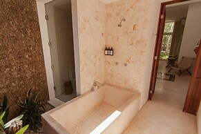 Shambalanté