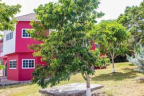 The Hamilton's Nature Villa