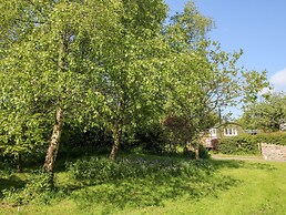Mucklewick Hollow