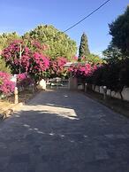 Nostrana Village