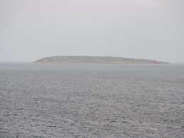 Gwyder