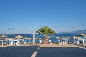 Ekin Assos