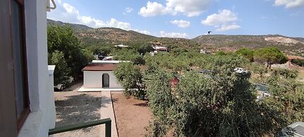 Ekin Assos