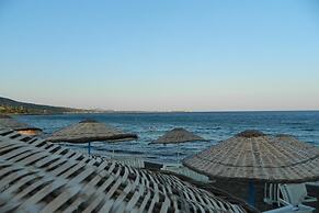 Ekin Assos