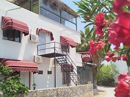 Ekin Assos