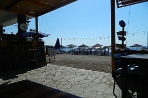 Ekin Assos