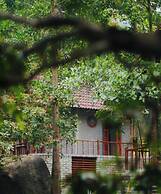 Toom Sara Forest Stay - Danang