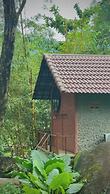 Toom Sara Forest Stay - Danang