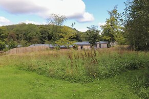 The Brambles