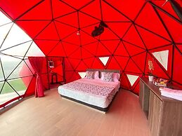 Hotel Zensi 420