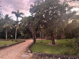 El Castillo Tropical