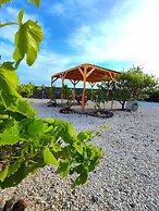 Oasis Apartments